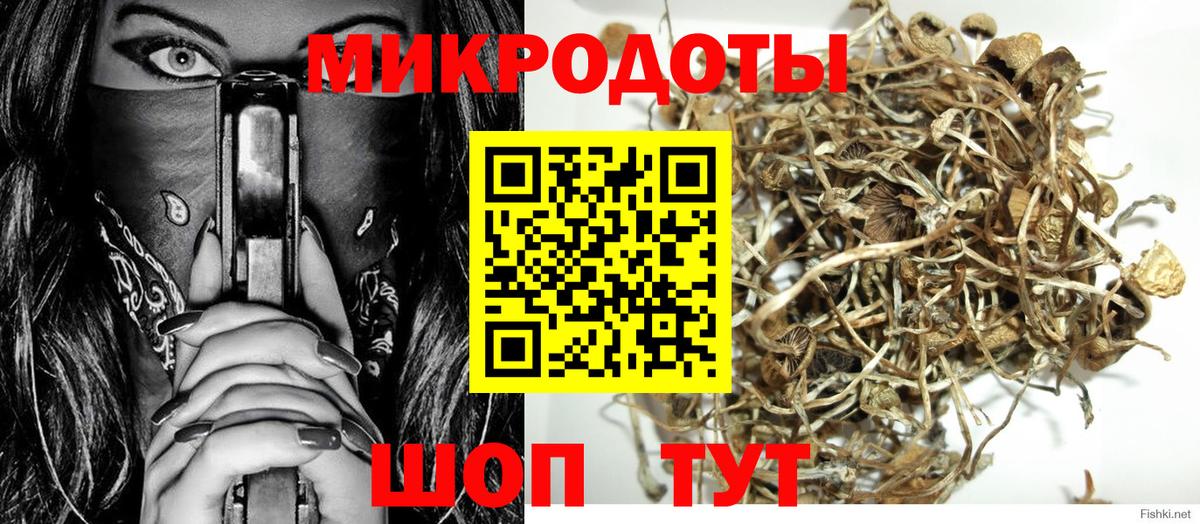 Галлюциногенные грибы Magic Shrooms Ейск